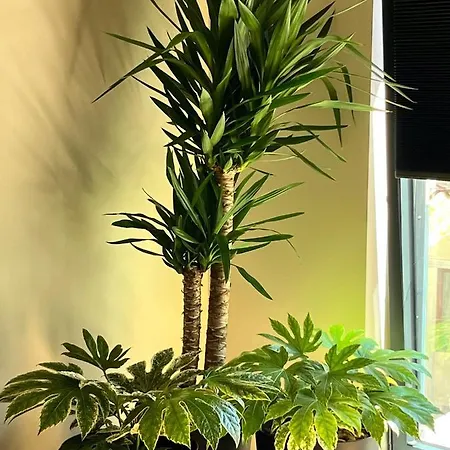 アパート Morgado Da Granja *