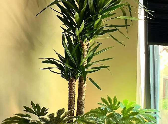 Apartment Morgado Da Granja *